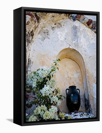 Pottery and Flowering Vine, Oia, Santorini, Greece-Darrell Gulin-Framed Premier Image Canvas