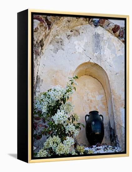 Pottery and Flowering Vine, Oia, Santorini, Greece-Darrell Gulin-Framed Premier Image Canvas