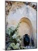 Pottery and Flowering Vine, Oia, Santorini, Greece-Darrell Gulin-Mounted Photographic Print