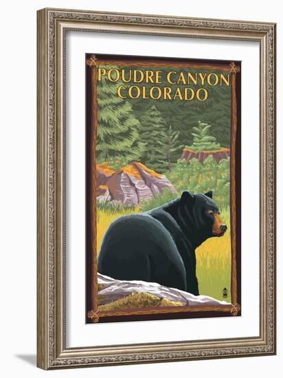 Poudre Canyon, Colorado - Bear in Forest-Lantern Press-Framed Art Print