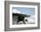 Poulnabrone Dolmen, Burren, County Clare, Neolithic Age, Hole of the Worries-Bluehouseproject-Framed Photographic Print