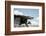 Poulnabrone Dolmen, Burren, County Clare, Neolithic Age, Hole of the Worries-Bluehouseproject-Framed Photographic Print