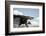 Poulnabrone Dolmen, Burren, County Clare, Neolithic Age, Hole of the Worries-Bluehouseproject-Framed Photographic Print