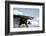 Poulnabrone Dolmen, Burren, County Clare, Neolithic Age, Hole of the Worries-Bluehouseproject-Framed Photographic Print