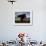 Poulnabrone Dolmen Megalithic Tomb, Burren, County Clare, Munster, Republic of Ireland (Eire)-Andrew Mcconnell-Framed Photographic Print displayed on a wall