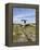 Poulnabrone Dolmen Portal Megalithic Tomb, the Burren, County Clare, Munster, Republic of Ireland-Gary Cook-Framed Premier Image Canvas