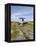 Poulnabrone Dolmen Portal Megalithic Tomb, the Burren, County Clare, Munster, Republic of Ireland-Gary Cook-Framed Premier Image Canvas