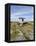 Poulnabrone Dolmen Portal Megalithic Tomb, the Burren, County Clare, Munster, Republic of Ireland-Gary Cook-Framed Premier Image Canvas