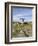 Poulnabrone Dolmen Portal Megalithic Tomb, the Burren, County Clare, Munster, Republic of Ireland-Gary Cook-Framed Photographic Print