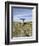 Poulnabrone Dolmen Portal Megalithic Tomb, the Burren, County Clare, Munster, Republic of Ireland-Gary Cook-Framed Photographic Print