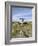 Poulnabrone Dolmen Portal Megalithic Tomb, the Burren, County Clare, Munster, Republic of Ireland-Gary Cook-Framed Photographic Print