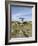 Poulnabrone Dolmen Portal Megalithic Tomb, the Burren, County Clare, Munster, Republic of Ireland-Gary Cook-Framed Photographic Print