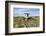 Poulnabrone Dolmen Portal Megalithic Tomb, the Burren, County Clare, Munster, Republic of Ireland-Gary Cook-Framed Photographic Print