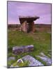 Poulnabrone Dolmen, the Burren, Co, Clare, Ireland-Doug Pearson-Mounted Photographic Print