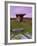 Poulnabrone Dolmen, the Burren, Co, Clare, Ireland-Doug Pearson-Framed Photographic Print