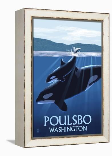 Poulsbo, Washington - Orca and Calf-Lantern Press-Framed Stretched Canvas