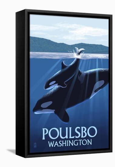 Poulsbo, Washington - Orca and Calf-Lantern Press-Framed Stretched Canvas