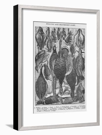 'Poultry and Feathered Game', 1907-Unknown-Framed Giclee Print