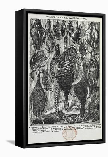 Poultry and Feathered Game-Isabella Beeton-Framed Premier Image Canvas