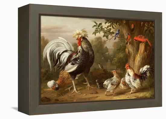 Poultry and Other Birds in the Garden of a Mansion-Jacob Bogdany-Framed Premier Image Canvas