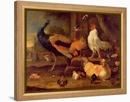 Poultry, c.1670-Melchior de Hondecoeter-Framed Premier Image Canvas