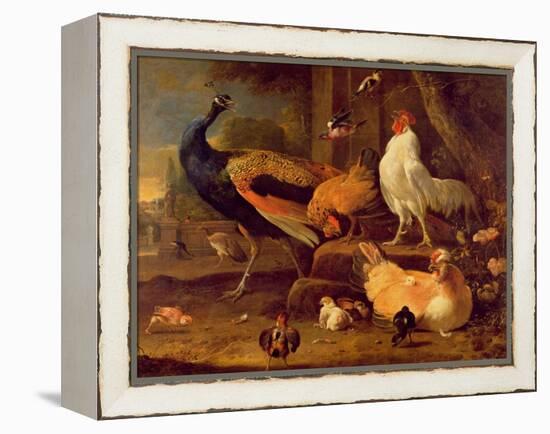 Poultry, c.1670-Melchior de Hondecoeter-Framed Premier Image Canvas