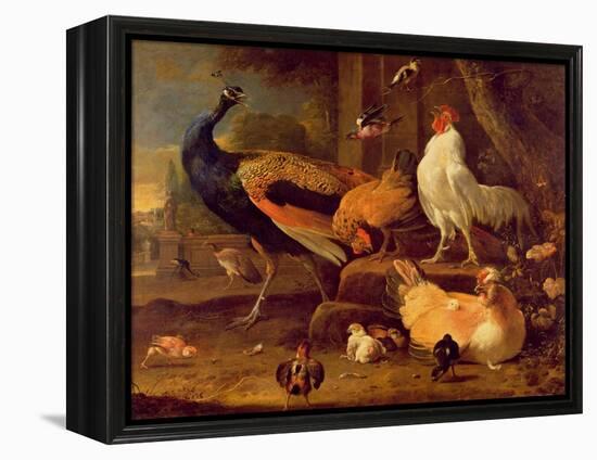 Poultry, c.1670-Melchior de Hondecoeter-Framed Premier Image Canvas