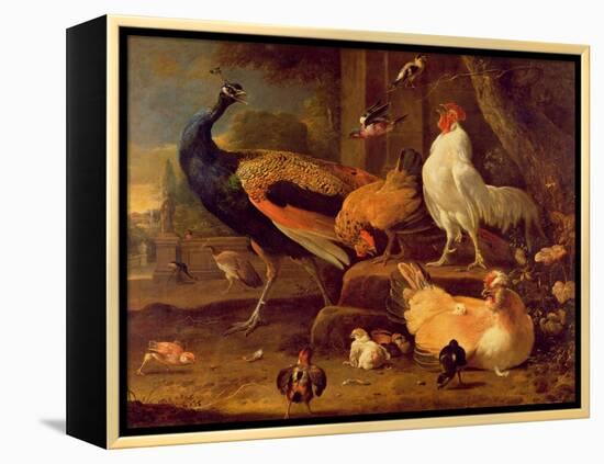 Poultry, c.1670-Melchior de Hondecoeter-Framed Premier Image Canvas