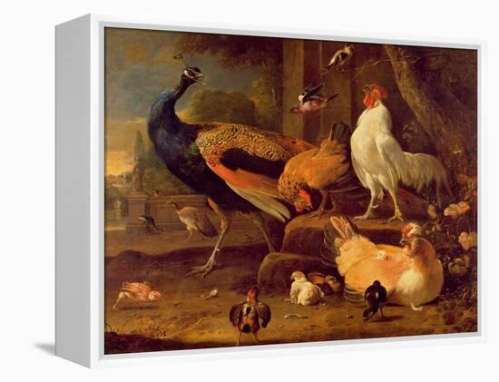 Poultry, c.1670-Melchior de Hondecoeter-Framed Premier Image Canvas