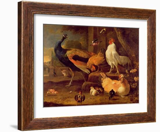 Poultry, c.1670-Melchior de Hondecoeter-Framed Giclee Print