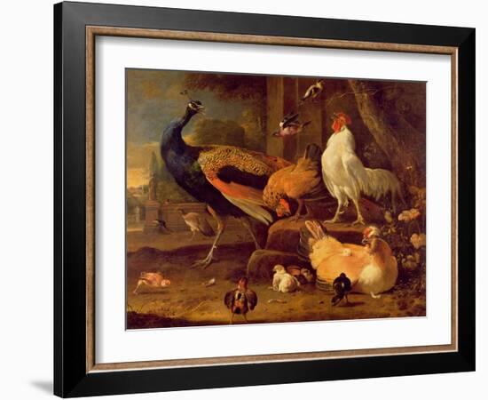 Poultry, c.1670-Melchior de Hondecoeter-Framed Giclee Print