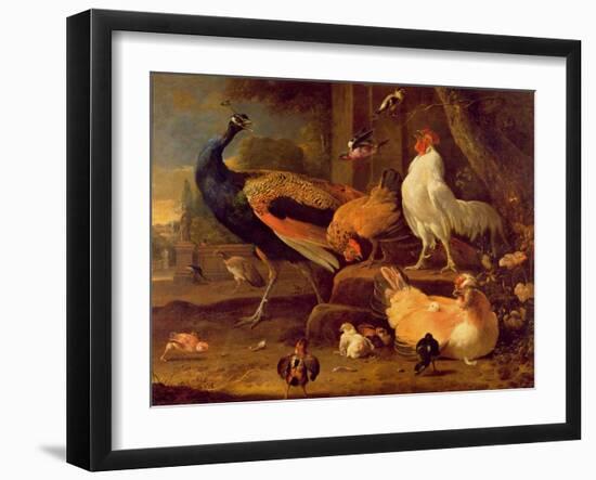 Poultry, c.1670-Melchior de Hondecoeter-Framed Giclee Print