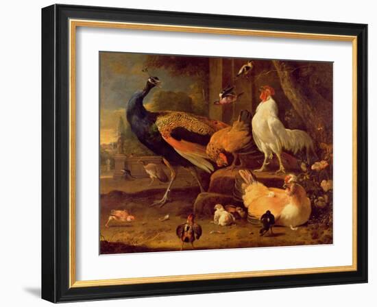 Poultry, c.1670-Melchior de Hondecoeter-Framed Giclee Print