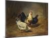 Poultry Feeding-Arthur Fitzwilliam Tait-Mounted Giclee Print