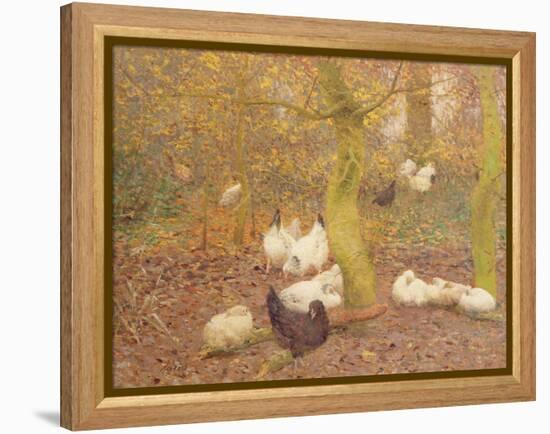 Poultry in a Wood, C.1890-Emile Claus-Framed Premier Image Canvas