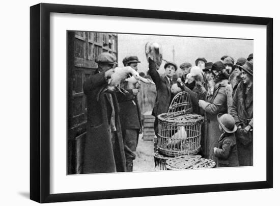 Poultry Merchants, Caledonian Market, London, 1926-1927-null-Framed Giclee Print