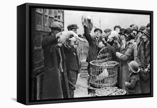 Poultry Merchants, Caledonian Market, London, 1926-1927-null-Framed Premier Image Canvas