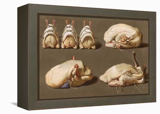 Poultry Ready to Cook-null-Framed Stretched Canvas