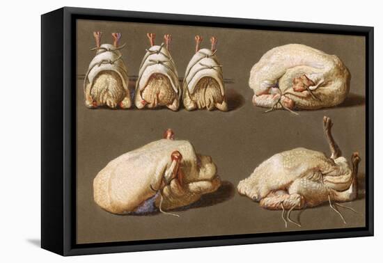 Poultry Ready to Cook-null-Framed Stretched Canvas