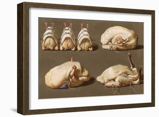 Poultry Ready to Cook-null-Framed Art Print