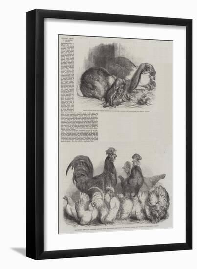 Poultry Show at the Crystal Palace-Harrison William Weir-Framed Giclee Print