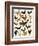 Poultry-English School-Framed Giclee Print