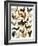 Poultry-English School-Framed Giclee Print