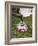 Pouring Coffee During a Coffee Ceremony, Ethiopia, Africa-Gavin Hellier-Framed Photographic Print