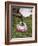 Pouring Coffee During a Coffee Ceremony, Ethiopia, Africa-Gavin Hellier-Framed Photographic Print