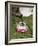 Pouring Coffee During a Coffee Ceremony, Ethiopia, Africa-Gavin Hellier-Framed Photographic Print