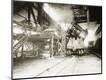 Photographic Print