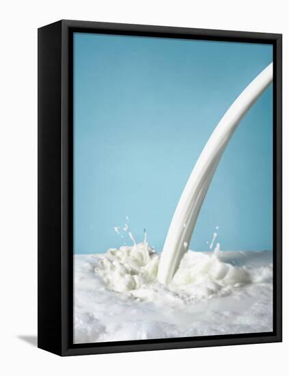 Pouring Milk-Klaus Arras-Framed Premier Image Canvas