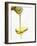 Pouring Olive Oil Over a Spoon-Marc O^ Finley-Framed Photographic Print