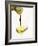 Pouring Olive Oil Over a Spoon-Marc O^ Finley-Framed Photographic Print